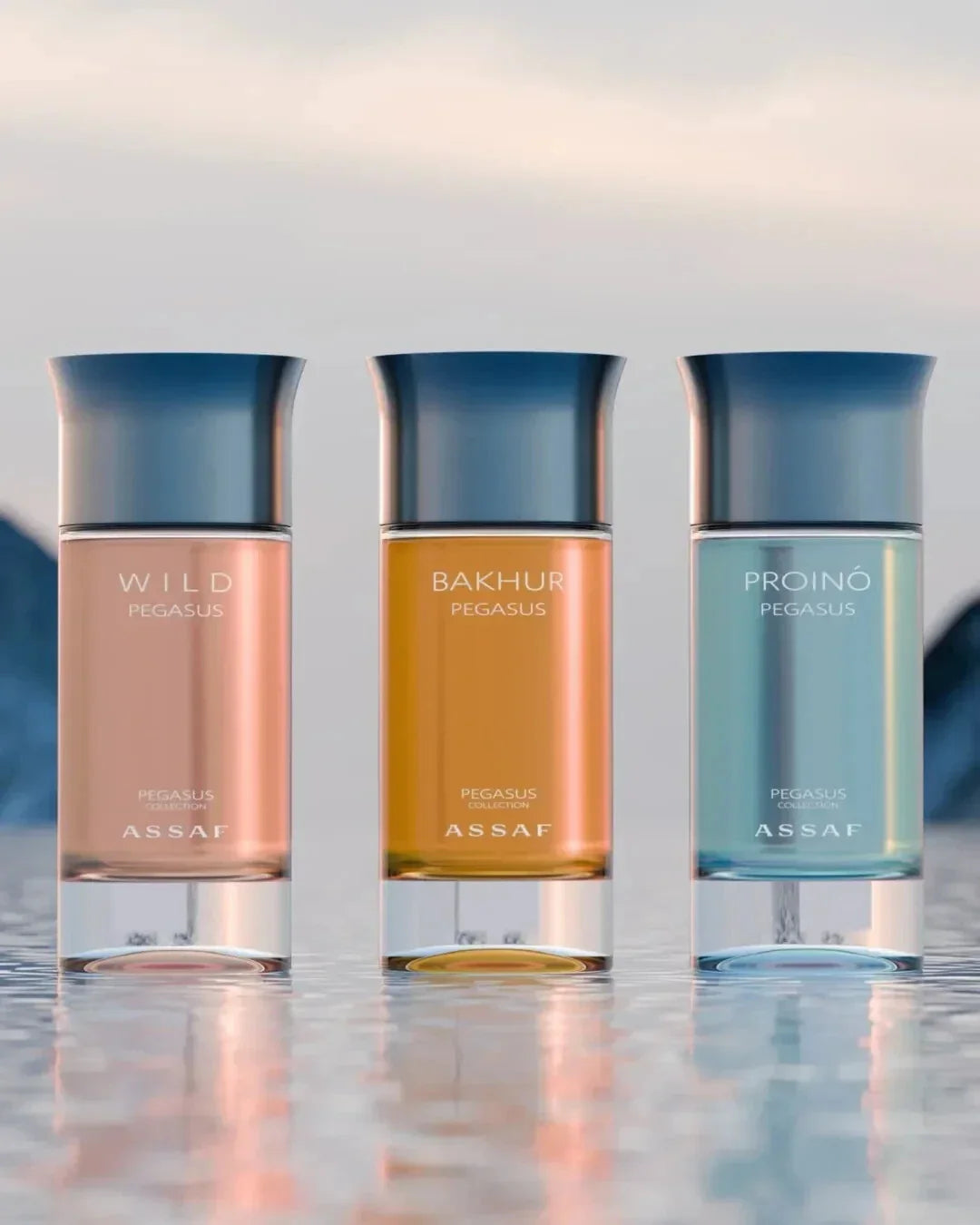 Assaf Pegasus Series & Erik Gris